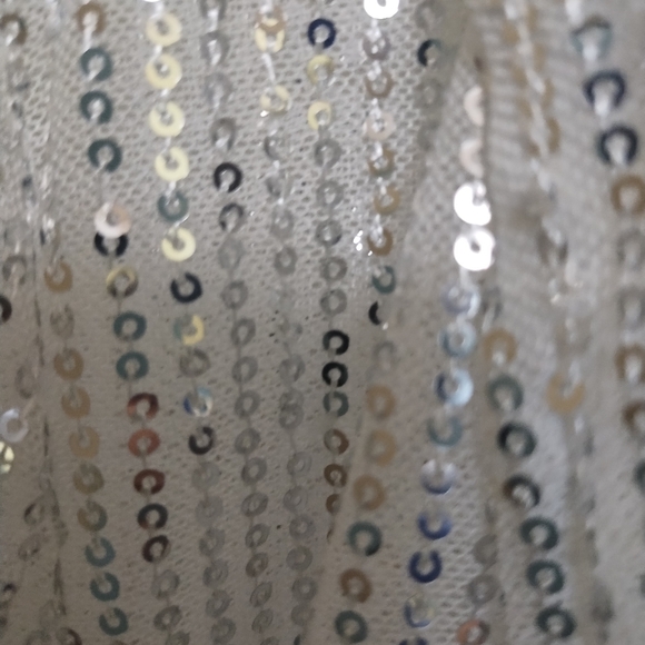 Semi sheer sparkley cover up - Picture 4 of 5